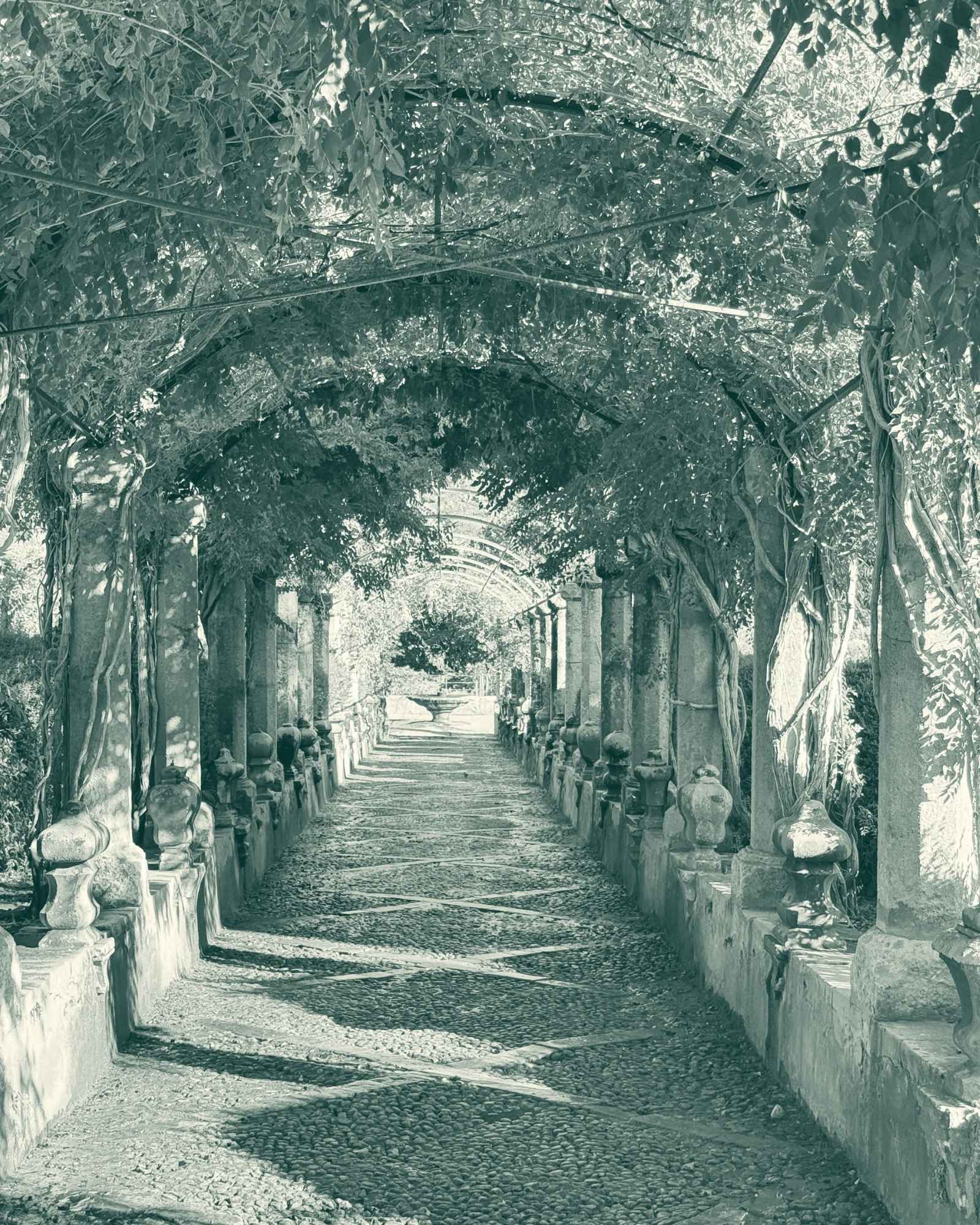 Stone-columned pergola walkway under wisteria, with a cobbled path.
